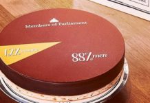 grafico a torta su una torta dei membri del parlamento