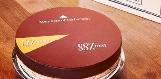 grafico a torta su una torta dei membri del parlamento