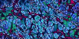 immagine astratta si sostenibilità cognitiva